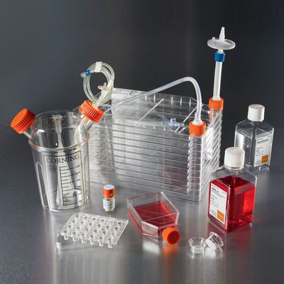 美國康寧Corning細胞培養皿與玻璃器皿批發指南