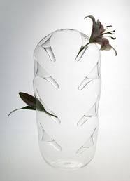 勞倫斯·布拉班特 法國女設計師的玻璃制品藝術與日用器皿批發指南